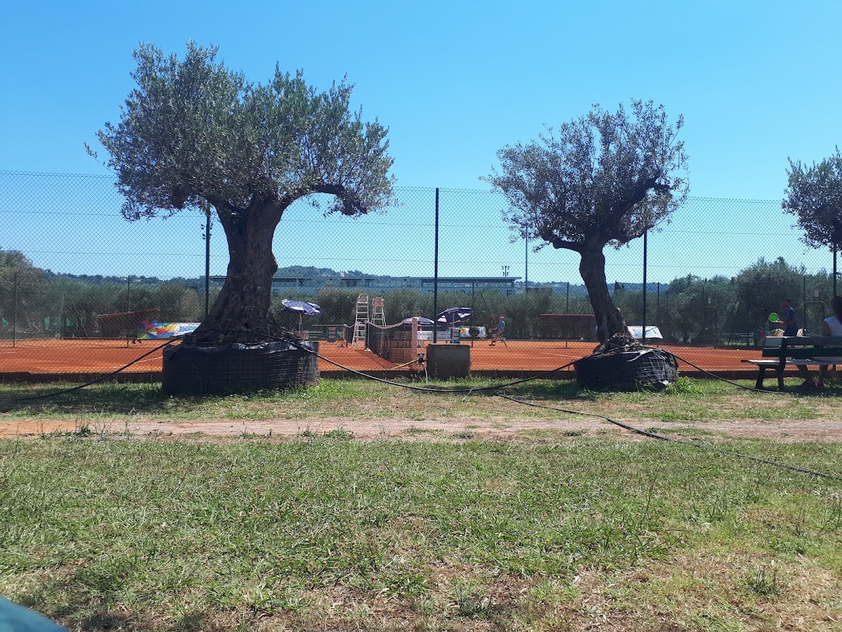 ALL IN TENNIS PADEL COUNTRY CLUB DE GRASSE, club de padel à Grasse, photo 5