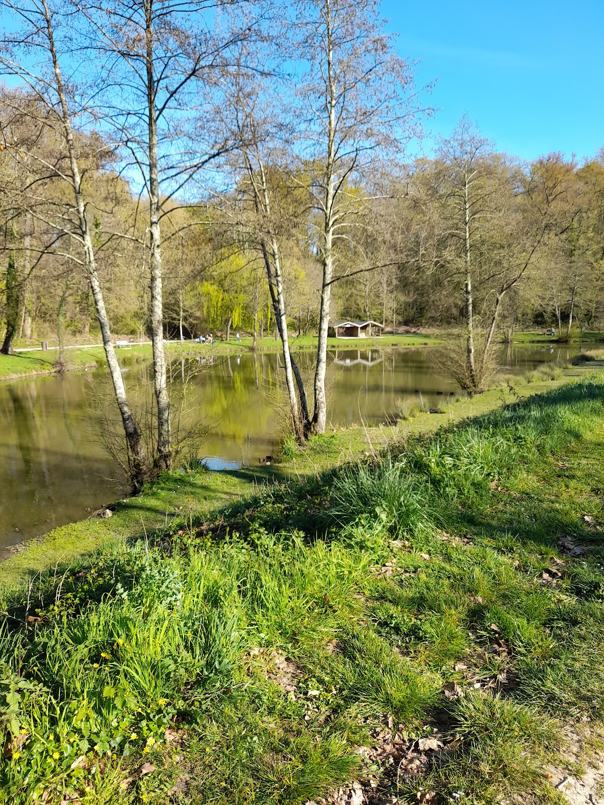 ARTIGUES TC, club de padel à Artigues-près-Bordeaux, photo 4