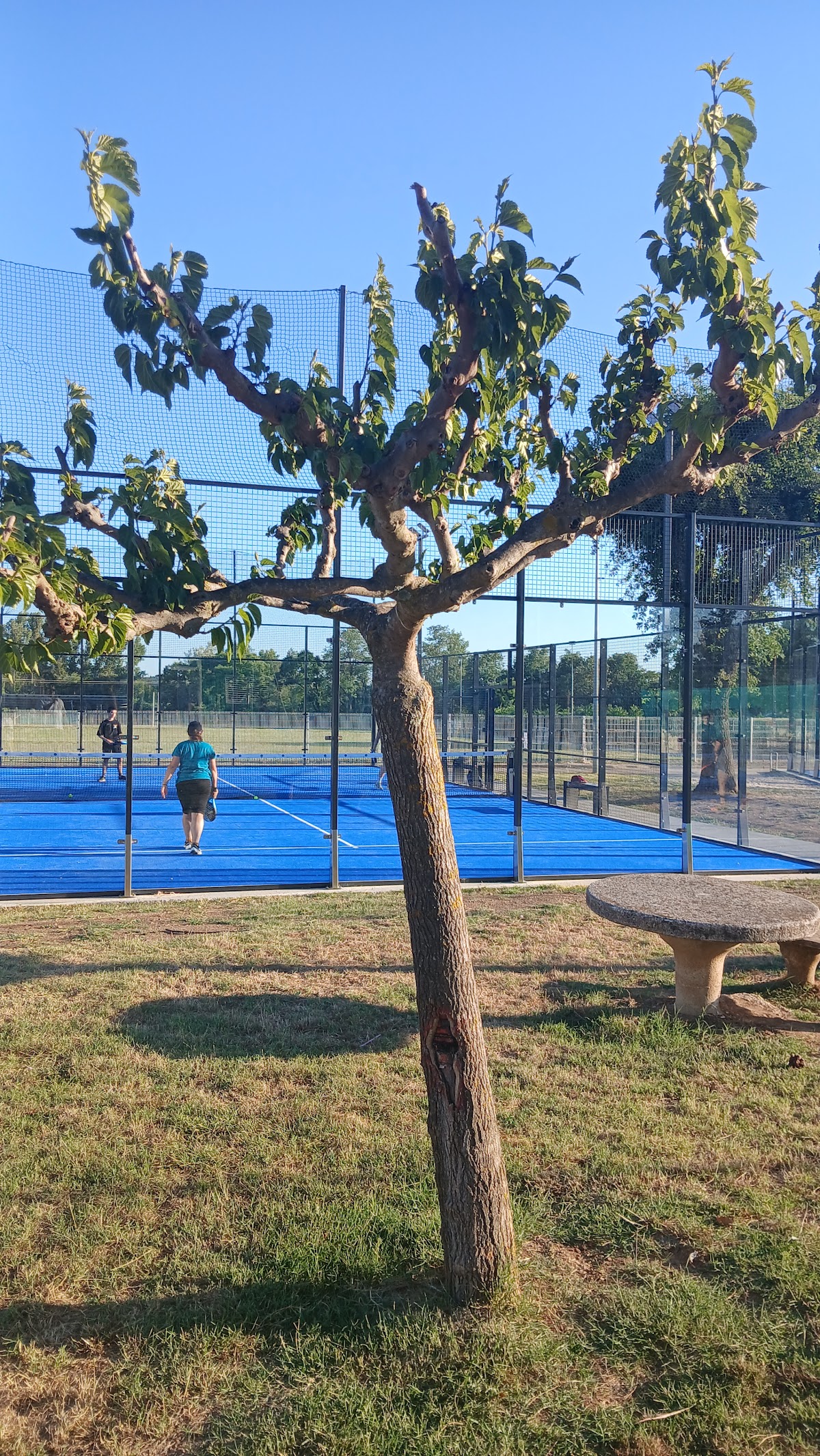 AS SALINDRES, club de padel à Salindres, photo 4