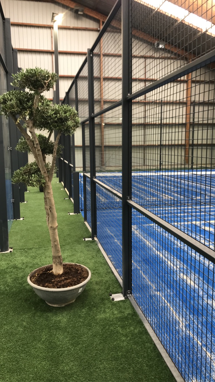 BREIZH PADEL AS, club de padel à Bruz, photo 2