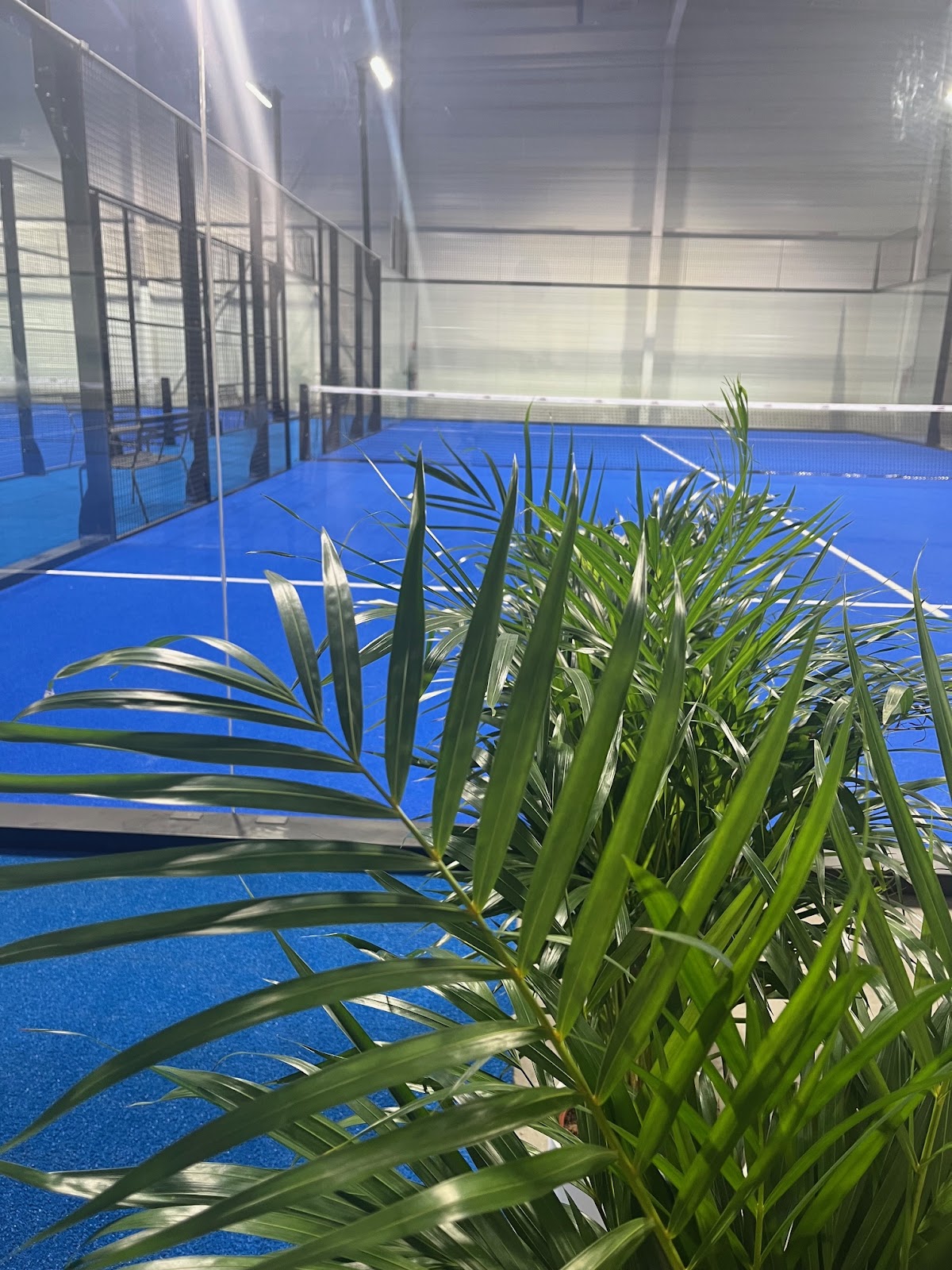 CLUB PADEL, club de padel à La Wantzenau, photo 5