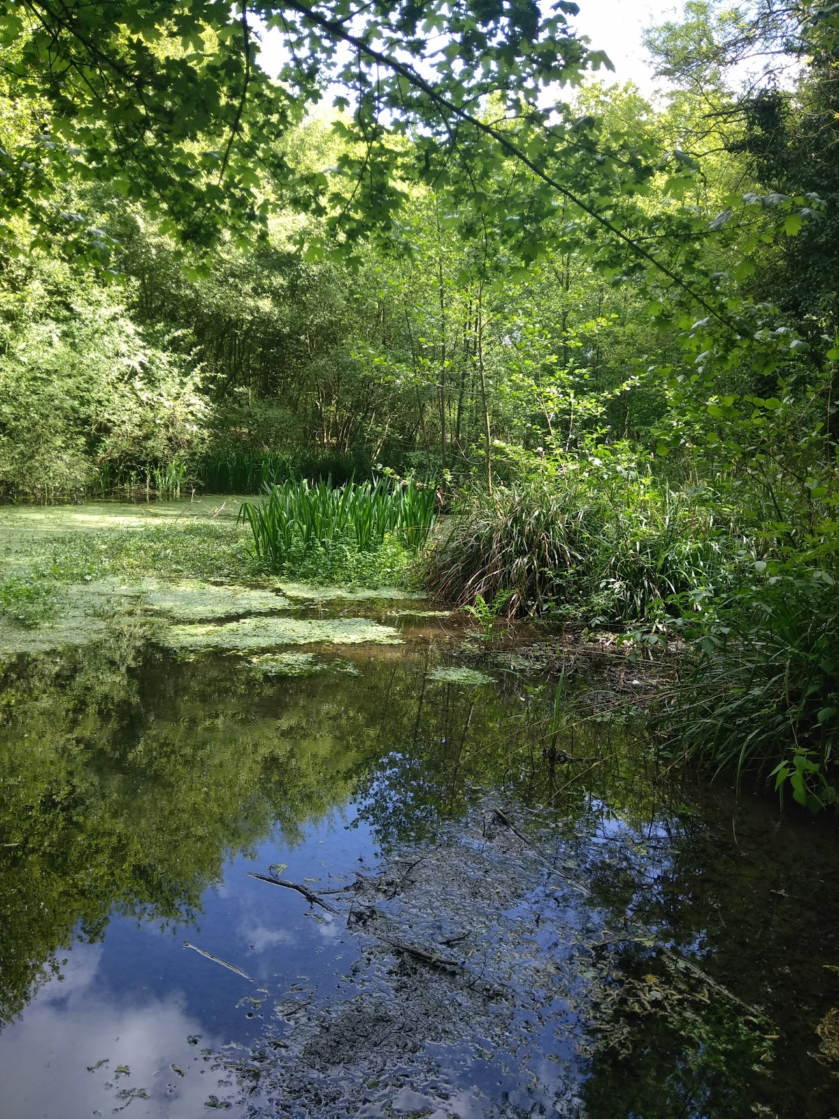 COLOMBES (TC), club de padel à Colombes, photo 4