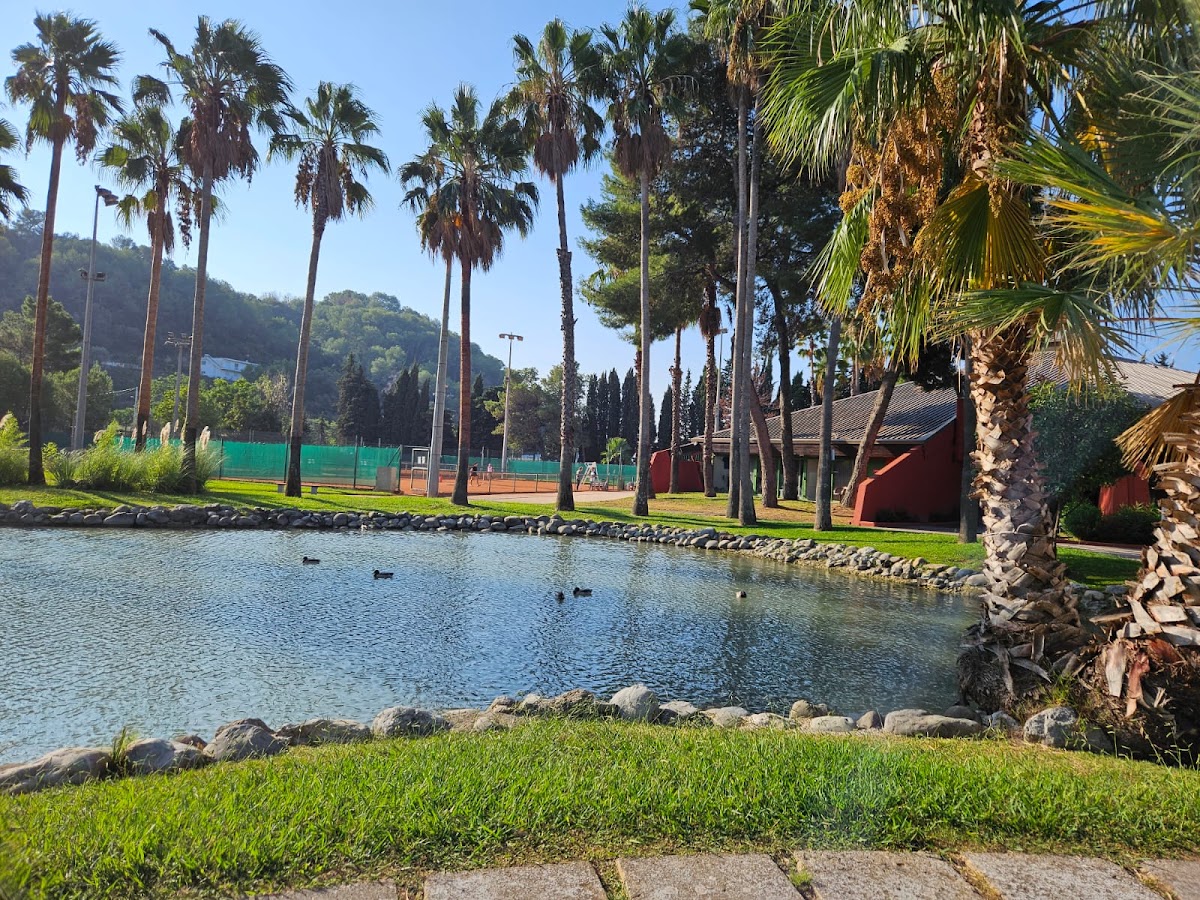 COMITE ALPES MARITIMES TENNIS, club de padel à Nice