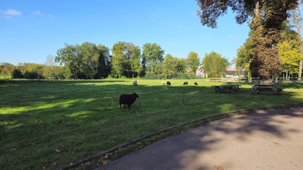 Domaine de Lassy PADEL, club de padel à Lassy, photo 5