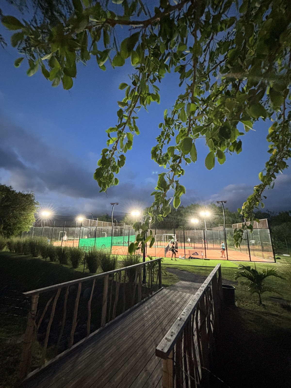 ENDEMIK CLUB, club de padel à Saint-Louis, photo 2