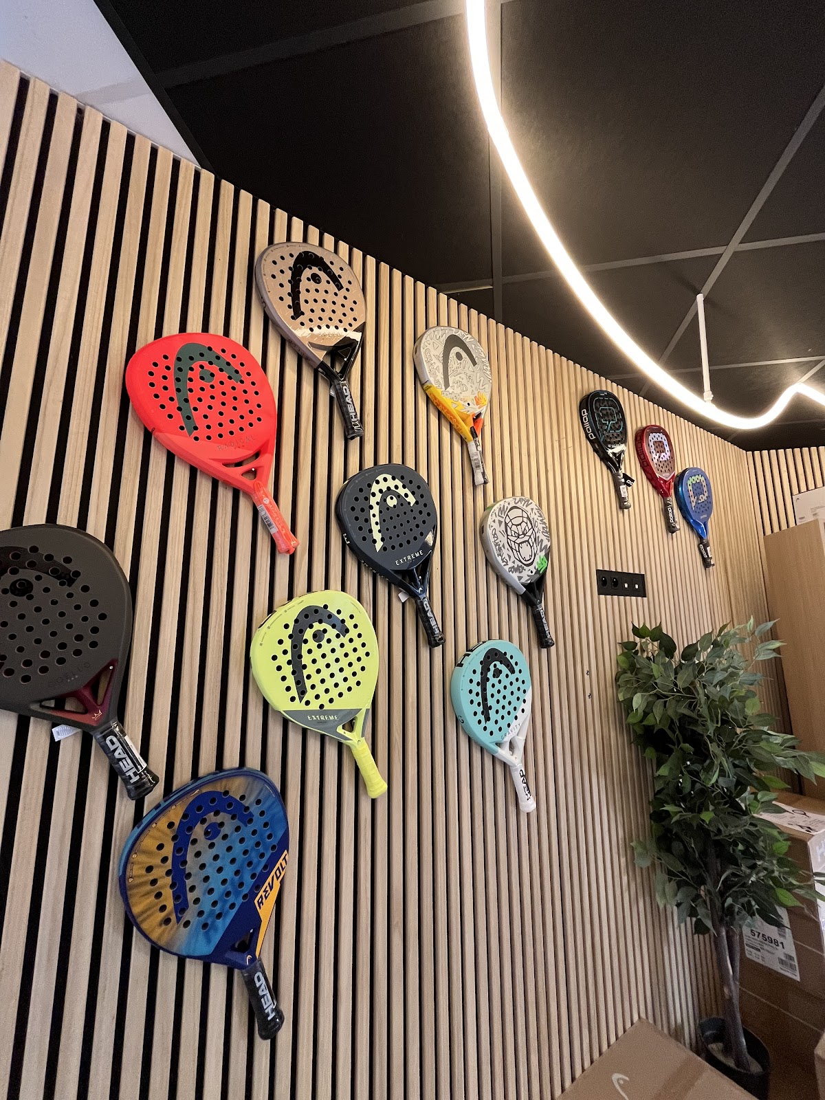 FOREVER PADEL, club de padel à Canéjan, photo 5