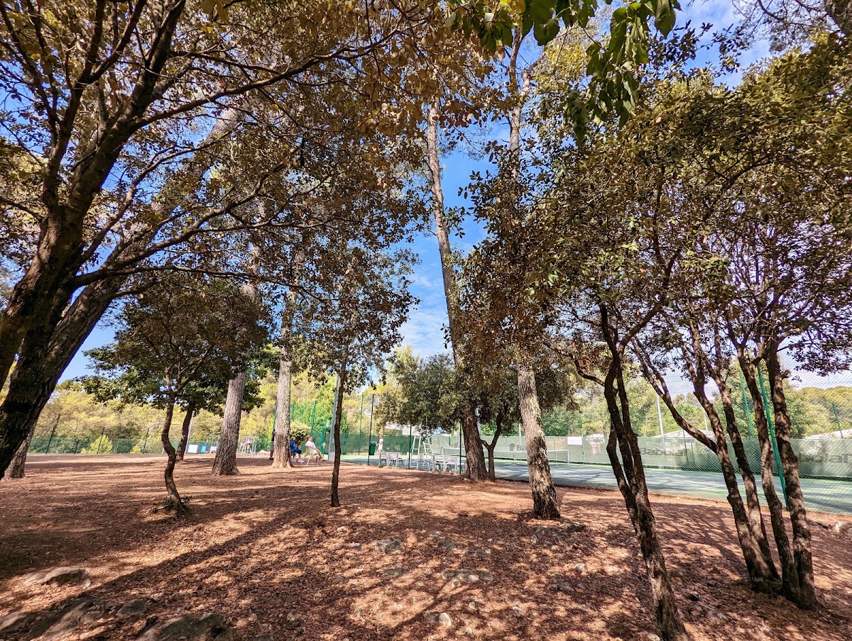 LA RAQUETTE ROQUEFORTOISE, club de padel à Roquefort-les-Pins, photo 2