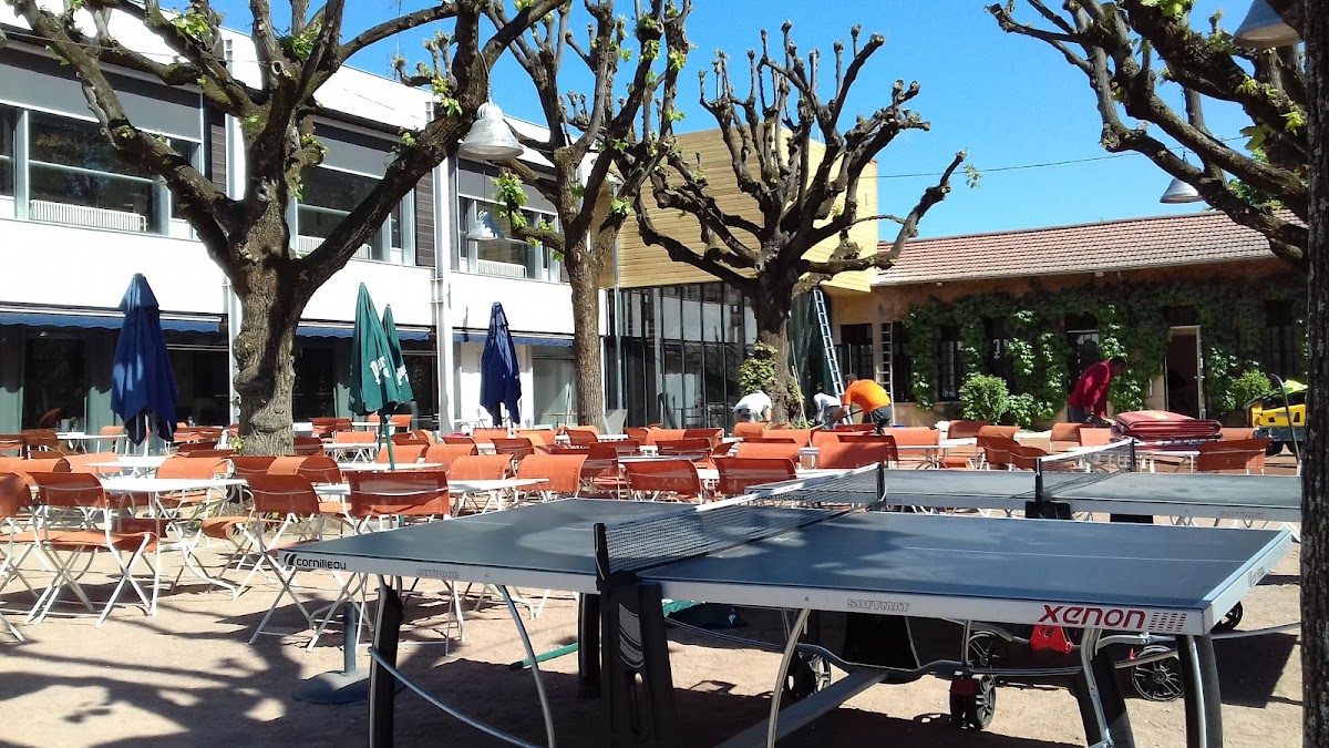 LYON (TENNIS CLUB DE), club de padel à Villeurbanne, photo 2