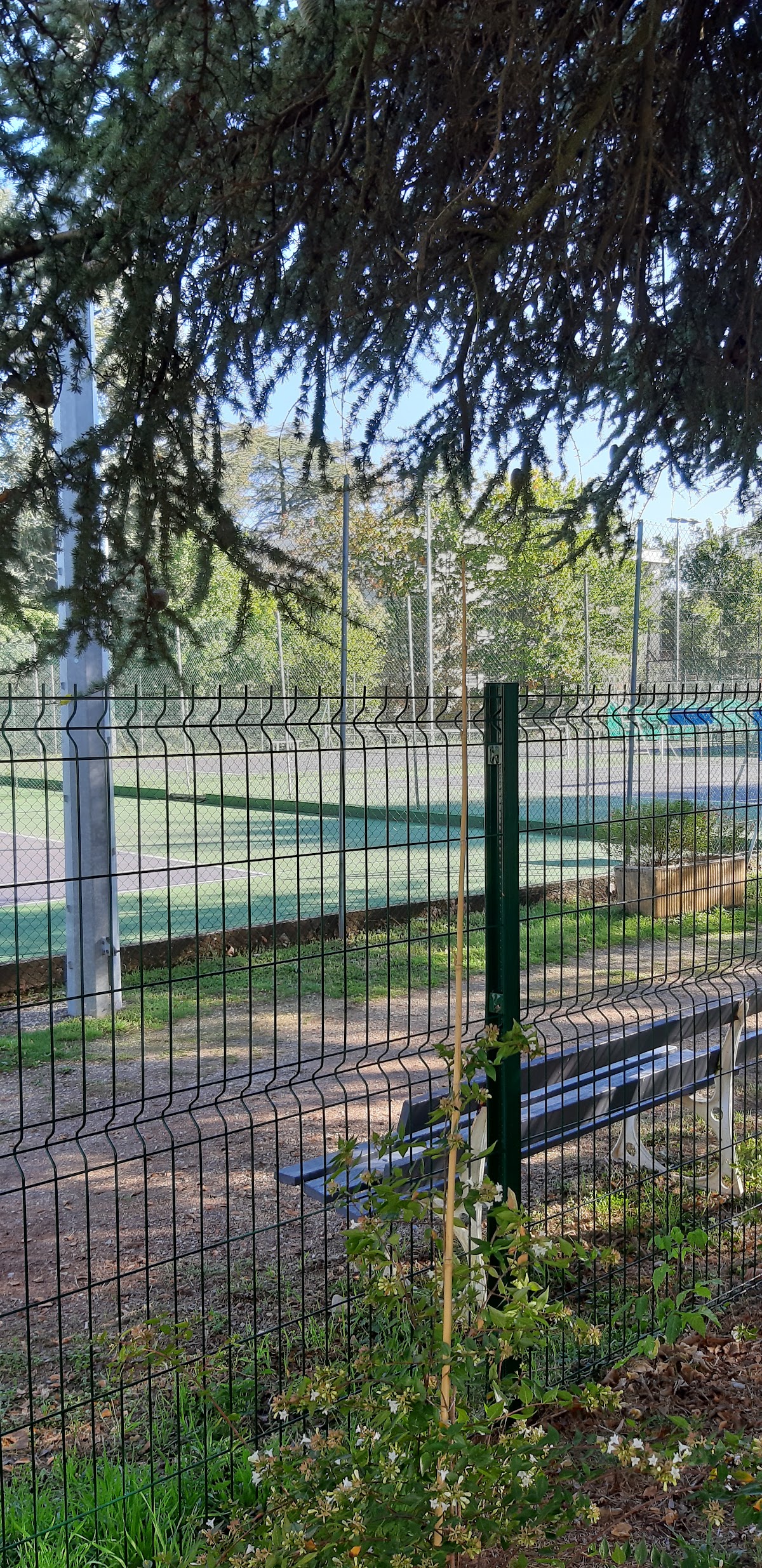 MUNICIPAL 5EME (TENNIS CLUB), club de padel à Sainte-Foy-lès-Lyon, photo 3