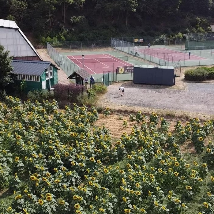 NESLOIS TC, club de padel à Nesles-la-Vallée, photo 3