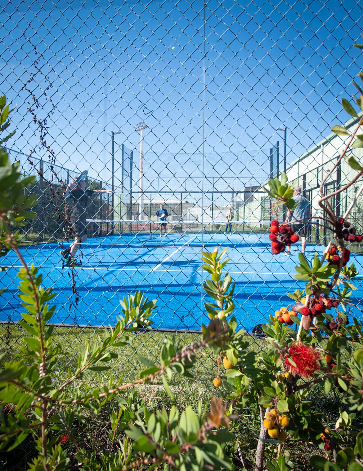 PADEL DU PARC, club de padel à Arles, photo 2