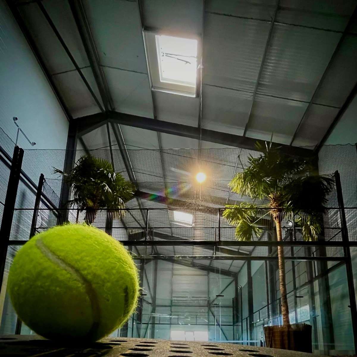 SAS LE COURT, club de padel à Hyères, photo 4