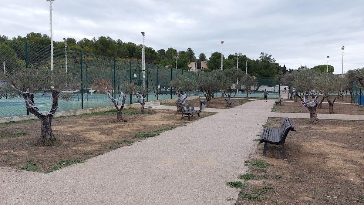 TENNIS CLUB MARTIGUES, club de padel à Martigues, photo 5